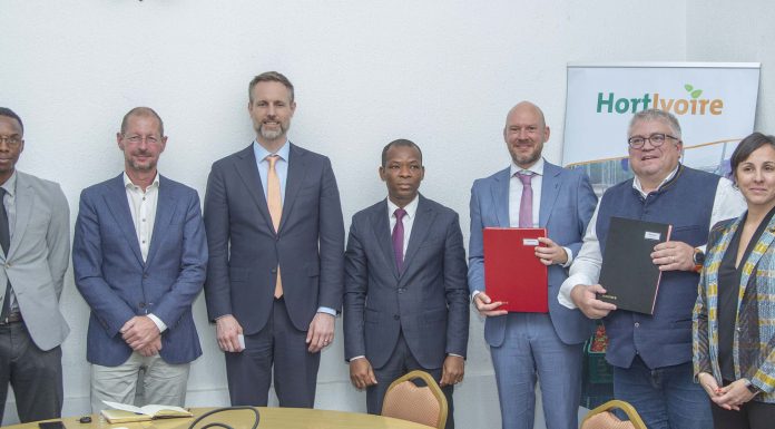 Création d’emploi : L’Allemagne et Les Pays-Bas financent la formation de 3 000 jeunes ivoiriens dans la culture maraîchère hors-sol