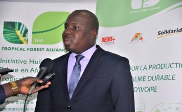 Côte d’Ivoire / Secteur de la production d’huile de palme : Les acteurs s’engagent sur des principes de développement durable