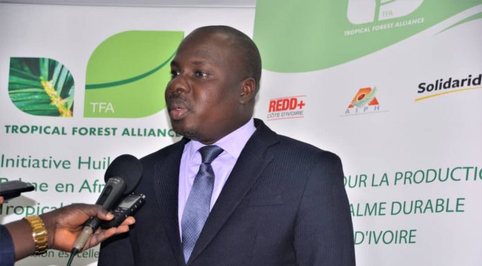 Côte d’Ivoire / Secteur de la production d’huile de palme : Les acteurs s’engagent sur des principes de développement durable