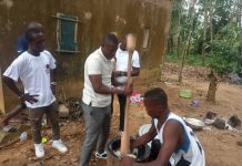 Culture/ Todjo Ivoire mars 2023 : les femmes honorées