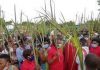 Côte d’Ivoire : Les Chrétiens catholiques ont célébré ce dimanche la fête des Rameaux