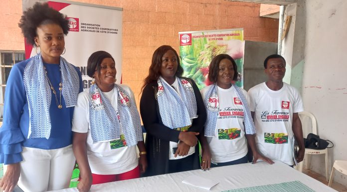 Les femmes du vivrier en Côte d’Ivoire ont désormais leur journée d’hommage