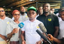 N’douci /Face à la menace de la fusariose TR4 de la banane dessert : une jeune coopérative lance un cri de cœur aux autorités ivoiriennes