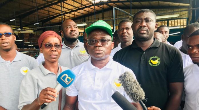 N’douci /Face à la menace de la fusariose TR4 de la banane dessert : une jeune coopérative lance un cri de cœur aux autorités ivoiriennes