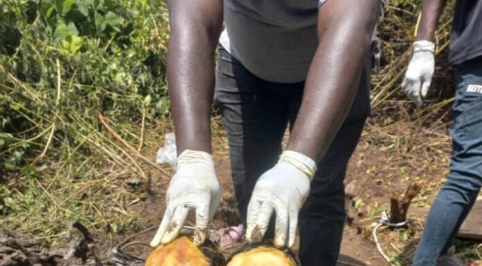 Côte d’Ivoire / Les ossements de deux jeunes filles tuées découverts dans un puits à Vavoua