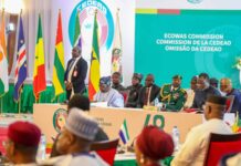 Niger : La CEDEAO ouvre la voie à un allègement en le conditionnant à une transition courte