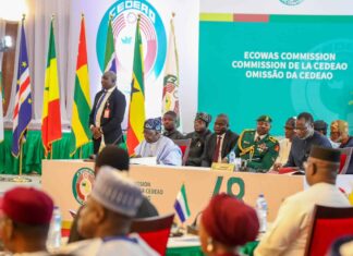 Niger : La CEDEAO ouvre la voie à un allègement en le conditionnant à une transition courte