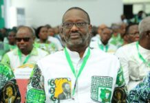 Côte d’Ivoire : Tidjane Thiam élu nouveau président du PDCI-RDA