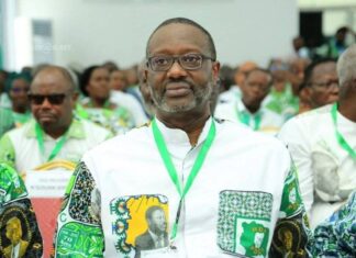 Côte d’Ivoire : Tidjane Thiam élu nouveau président du PDCI-RDA
