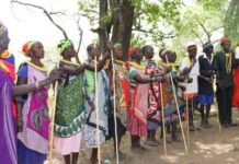 Festival « Festi Dan au Féminin » : Un Rendez-vous Culturo-Éducatif Incontournable!