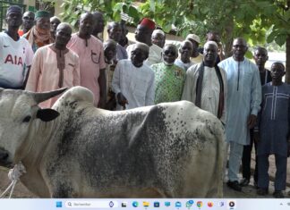 Séguéla / Célébration de la fête de la Tabaski : Dr Bamba Maférima Fouété offre 12 bœufs et 3 moutons aux populations