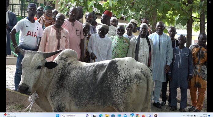 Séguéla / Célébration de la fête de la Tabaski : Dr Bamba Maférima Fouété offre 12 bœufs et 3 moutons aux populations
