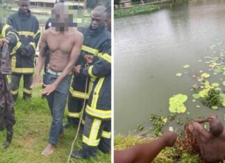 Côte d’Ivoire / Un individu a tenté de se jeter dans le lac aux caïmans ce vendredi 21 juin 2024