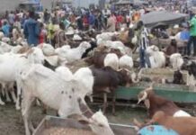 Côte d’Ivoire : La fête de la Tabaski sera célébrée le dimanche 16 juin 2024