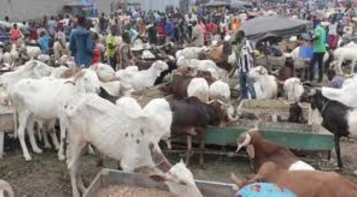 Côte d’Ivoire : La fête de la Tabaski sera célébrée le dimanche 16 juin 2024