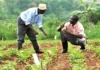 Côte d’Ivoire / Concours d’entrée à l’Infpa : Les inscriptions se poursuivent jusqu’au 15 octobre