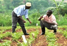 Côte d’Ivoire / Concours d’entrée à l’Infpa : Les inscriptions se poursuivent jusqu’au 15 octobre