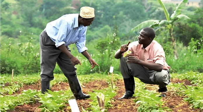 Côte d’Ivoire / Concours d’entrée à l’Infpa : Les inscriptions se poursuivent jusqu’au 15 octobre
