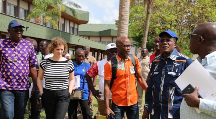 Développement agricole : le Projet Centre d’Innovations Vertes enregistre des résultats probants
