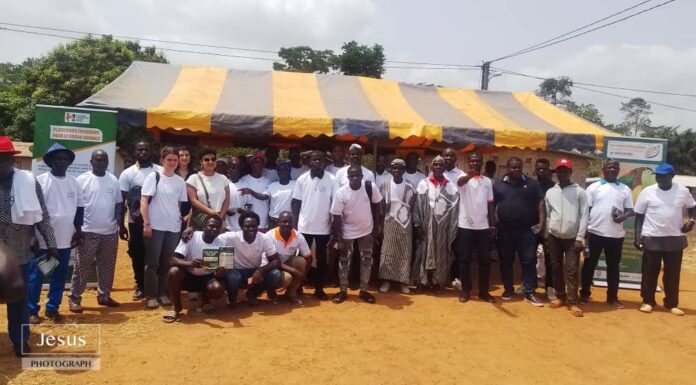 Une mission pour renforcer la gouvernance et la durabilité de la filière cacao