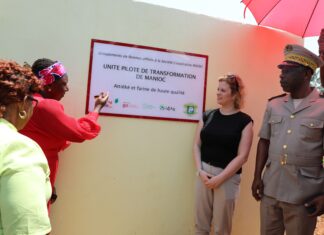 Coopération ivoiro-allemande / Révolution agroalimentaire en Côte d’Ivoire : La GIZ procède au lancement de (5) unités pilotes de transformation du manioc à Gouabo