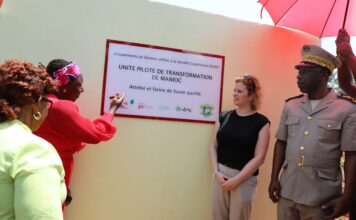 Coopération ivoiro-allemande / Révolution agroalimentaire en Côte d’Ivoire : La GIZ procède au lancement de (5) unités pilotes de transformation du manioc à Gouabo
