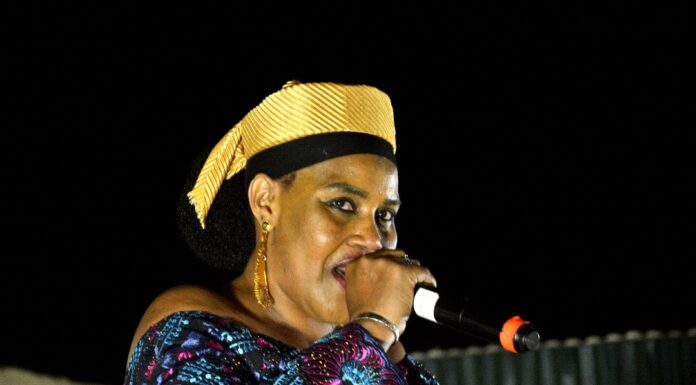 9e édition du Djéguélé Festival de Boundiali : Une soirée jazz mémorable avec l’artiste burkinabé Amsa Barry