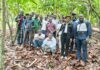 Cacao durable : des journalistes en immersion dans les plantations de Bantegoin et Yebegoin