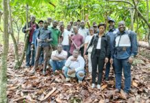 Cacao durable : des journalistes en immersion dans les plantations de Bantegoin et Yebegoin