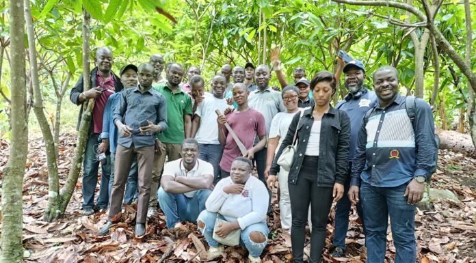 Cacao durable : des journalistes en immersion dans les plantations de Bantegoin et Yebegoin