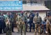 Guinée : Des tirs entendus à Kaloum