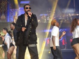 Célébration des 20 ans de carrière du chanteur congolais Fally Ipupa : C’était PHE-NO-ME-NAL au Stade de France