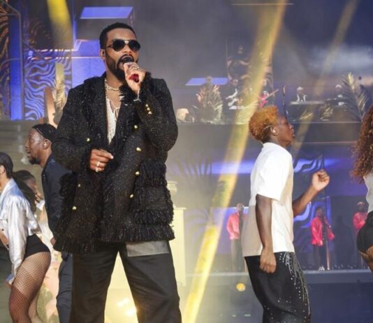 Célébration des 20 ans de carrière du chanteur congolais Fally Ipupa : C’était PHE-NO-ME-NAL au Stade de France