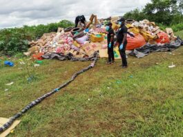 Nord ivoirien : plusieurs tonnes de drogues saisies dans les régions du Poro, du Tchologo et de la Bagoué incinérées à Korhogo