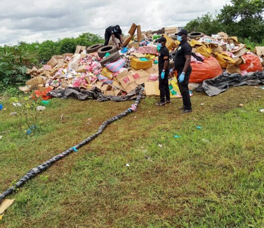 Nord ivoirien : plusieurs tonnes de drogues saisies dans les régions du Poro, du Tchologo et de la Bagoué incinérées à Korhogo